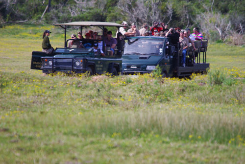 Hotel Kragga Kamma Game Park Port Elizabeth Exterior foto