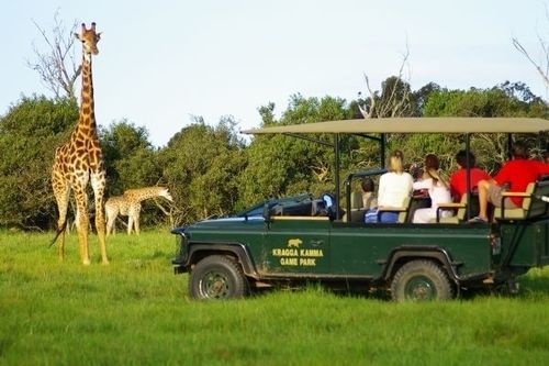 Hotel Kragga Kamma Game Park Port Elizabeth Exterior foto