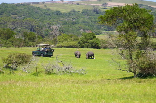 Hotel Kragga Kamma Game Park Port Elizabeth Exterior foto