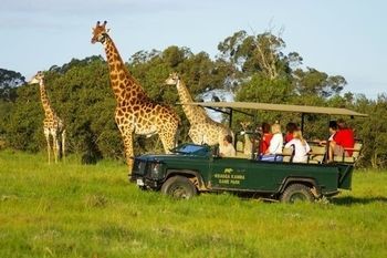 Hotel Kragga Kamma Game Park Port Elizabeth Exterior foto